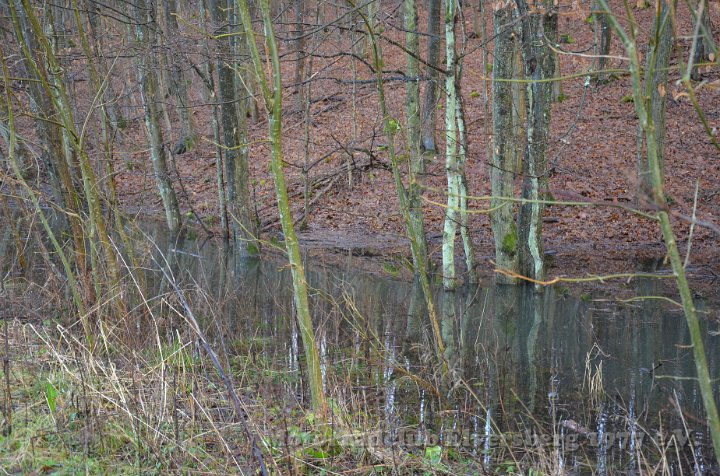 Wandertag 2012 - 112.JPG